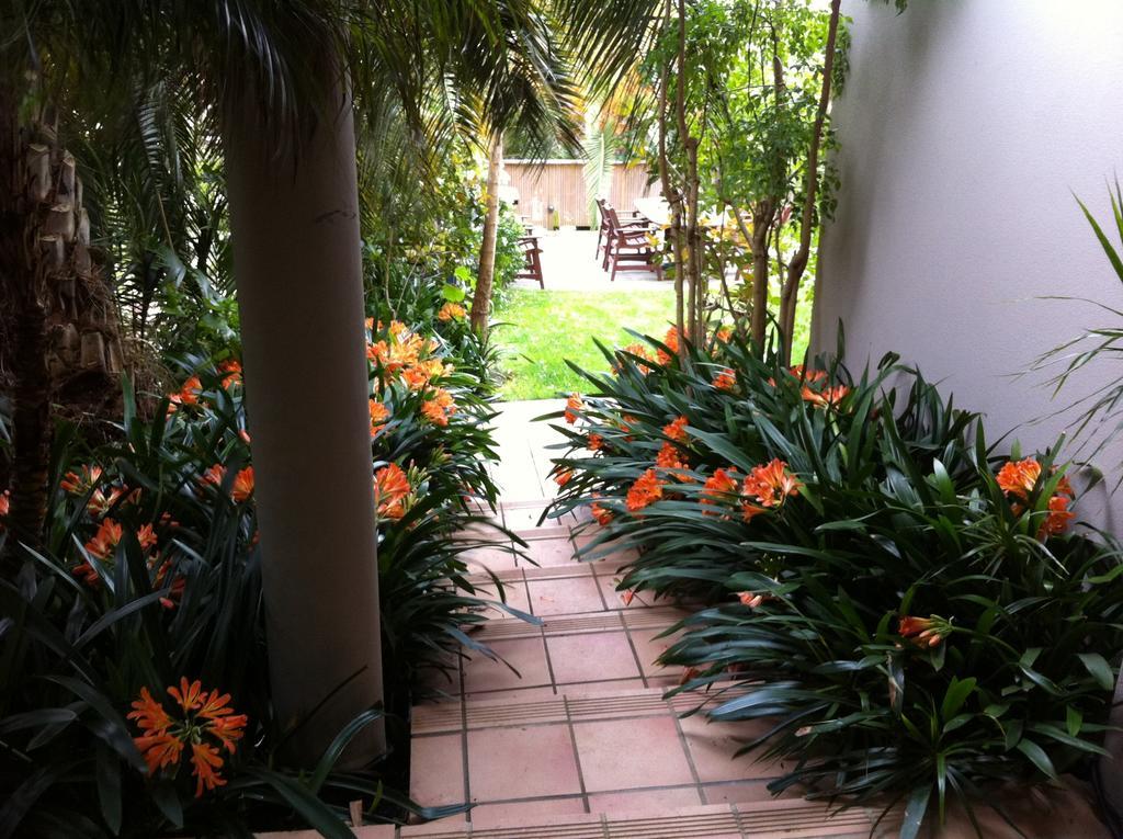 Palm Garden Apartment Auckland Exterior foto